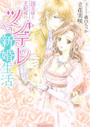 [Novel] 国王様と王妃様のツンデレ新婚生活 [Kokuo-sama to Ohi-sama no Tsundere Shinkon Seikatsu]