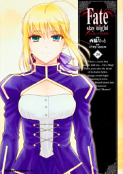 フェイト/ステイナイト raw 第01-20巻 [Fate/Stay Night vol 01-20]
