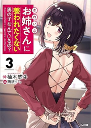 [Novel] きれいなお姉さんに養われたくない男の子なんているの？ raw 第01-03巻 [Kirei na onesan ni yashinawaretakunai otokonoko nante iruno vol 01-03]