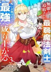 無能と追放された最弱魔法剣士、呪いが解けたので最強へ成り上がる raw 第01-03巻